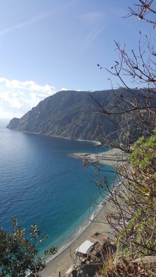 Appartamento Le Conchiglie Monterosso Al Mare Dış mekan fotoğraf