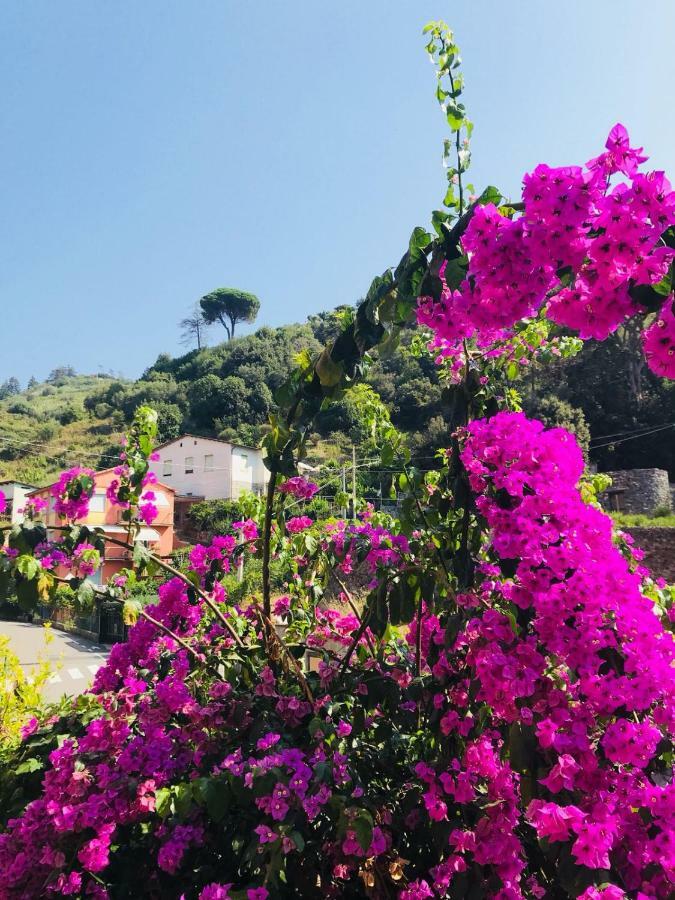 Appartamento Le Conchiglie Monterosso Al Mare Dış mekan fotoğraf